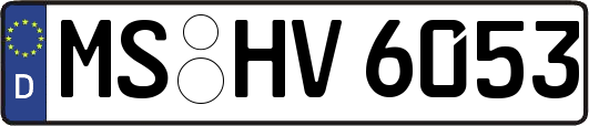 MS-HV6053