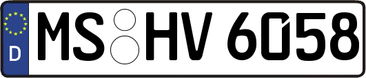 MS-HV6058