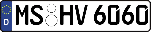 MS-HV6060