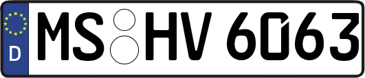 MS-HV6063