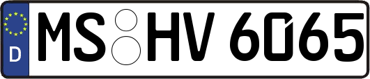 MS-HV6065