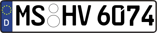MS-HV6074