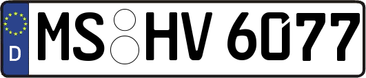 MS-HV6077