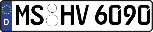 MS-HV6090