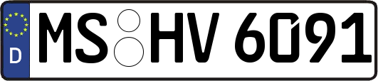 MS-HV6091