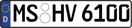 MS-HV6100