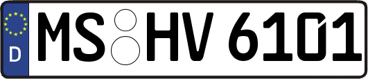 MS-HV6101