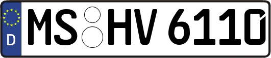 MS-HV6110