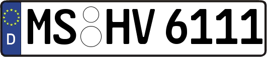 MS-HV6111