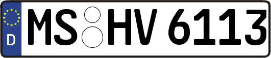 MS-HV6113