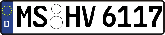 MS-HV6117