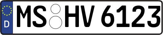MS-HV6123
