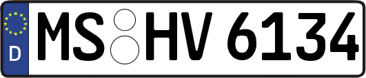 MS-HV6134