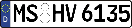 MS-HV6135
