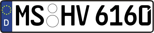MS-HV6160