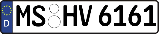 MS-HV6161