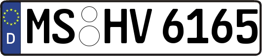 MS-HV6165