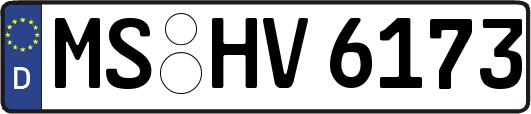 MS-HV6173