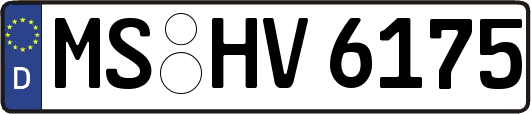 MS-HV6175