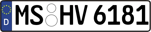 MS-HV6181