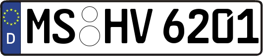 MS-HV6201