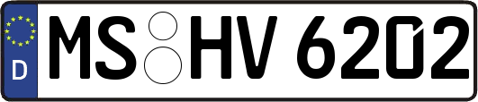 MS-HV6202