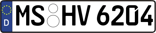 MS-HV6204