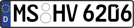 MS-HV6206
