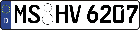 MS-HV6207