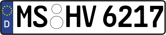 MS-HV6217
