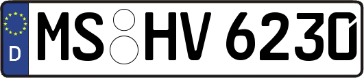 MS-HV6230