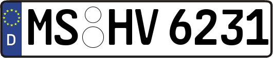 MS-HV6231