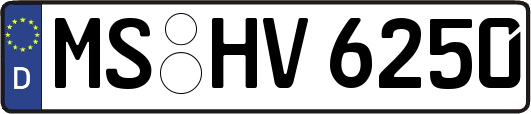 MS-HV6250