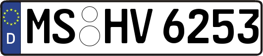 MS-HV6253