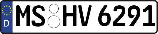 MS-HV6291
