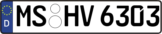 MS-HV6303