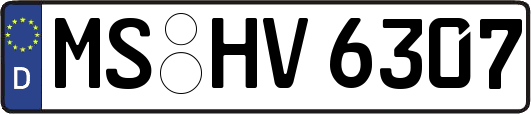MS-HV6307