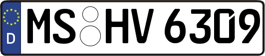 MS-HV6309