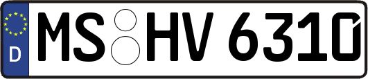 MS-HV6310