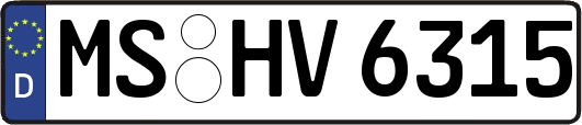 MS-HV6315