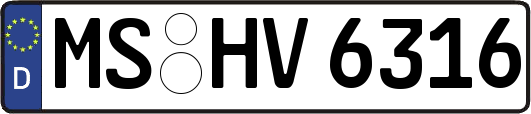 MS-HV6316