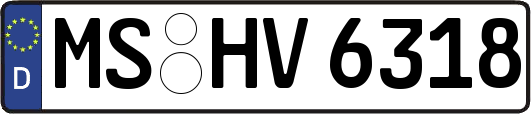 MS-HV6318