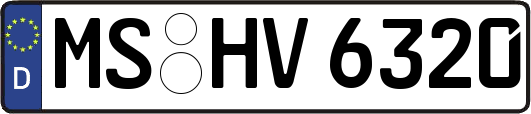 MS-HV6320