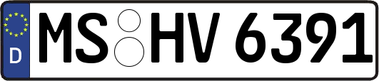 MS-HV6391