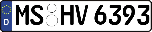 MS-HV6393