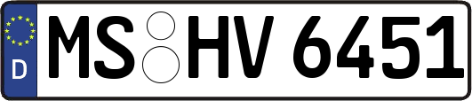 MS-HV6451