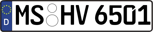 MS-HV6501