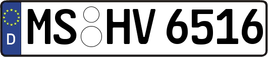 MS-HV6516
