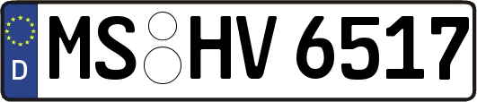 MS-HV6517