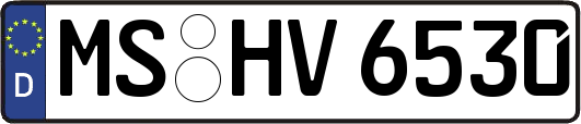MS-HV6530